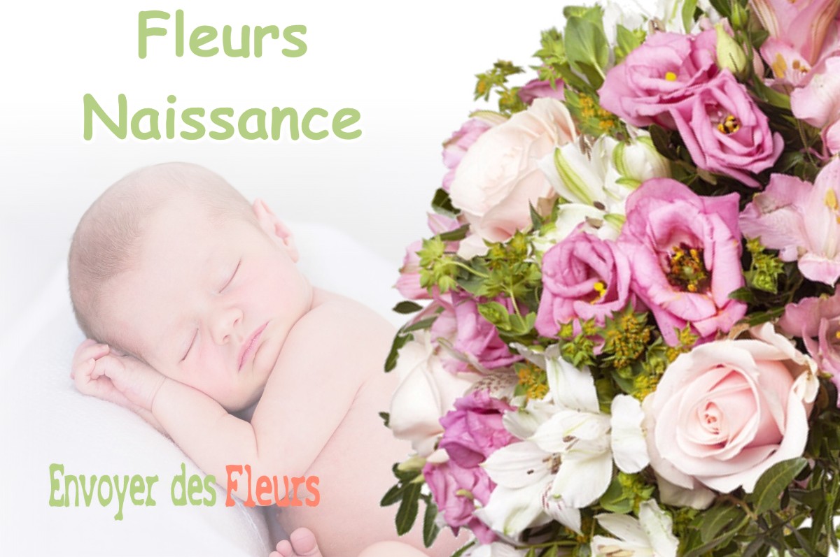 lIVRAISON FLEURS NAISSANCE à BAGNERES-DE-LUCHON